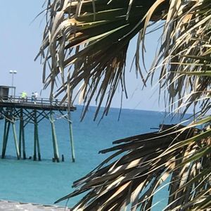 Meet your Posher, Marilynn